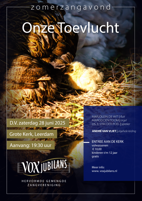 Concert in Leerdam - Afbeelding 2